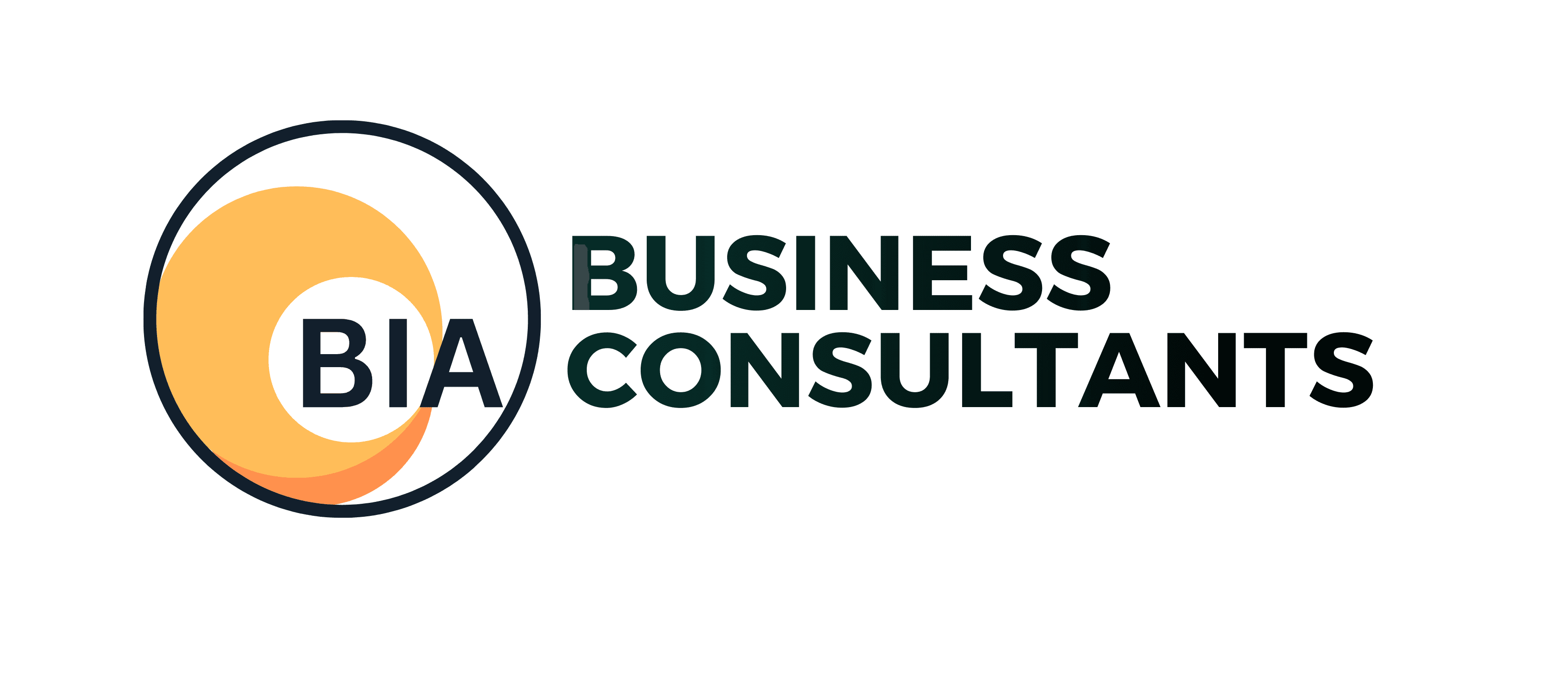 BIA Business Consultants